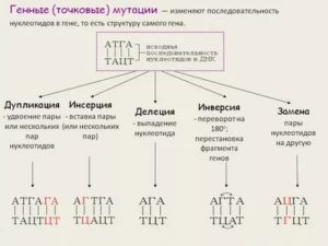 Анализ стекол на генные мутации: корректно ли взятие и хранение