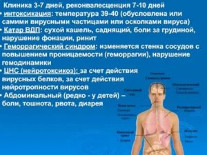 Температура 38,1 сухой кашель болят почки