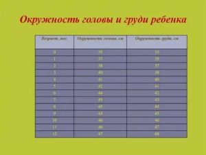 Окружность головы и груди