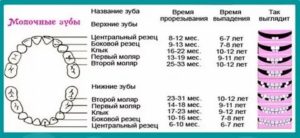 Прививки при прорезывании зубов