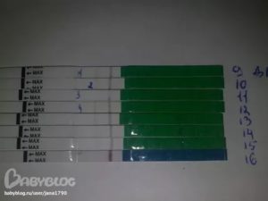 Сбой месячных растет живот тест отрицательный