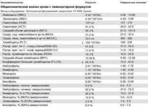 Лимфоциты эритроциты повышены