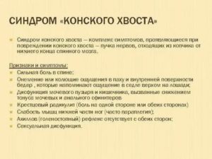 "Синдром ""конского хвоста"""