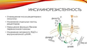 Инсулинорезистентность