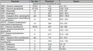 Повышены лимфоциты до 41,5