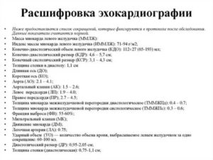Расшифровка результата ЭхоКг