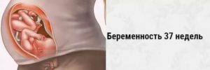 28 неделя кесарево гестоз
