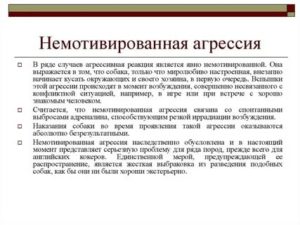 Приступы агрессии без причины