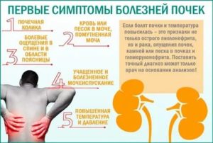 Температура 38,1 сухой кашель болят почки