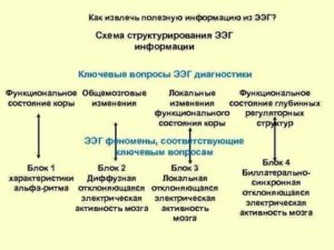 Расшифровка ээг: дизритмические изменения общемозгового характера