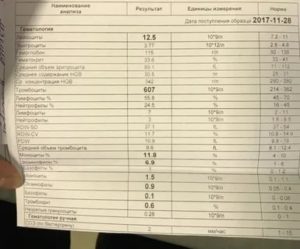 Анализ крови в 3 месяца