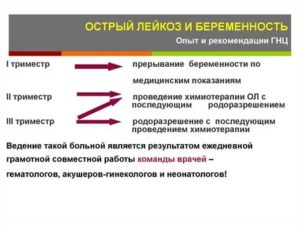 Беременность после лейкоза