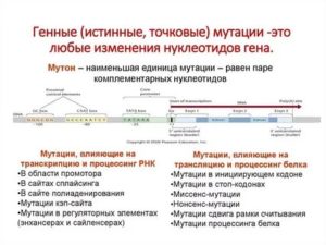 Анализ стекол на генные мутации: корректно ли взятие и хранение
