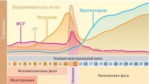 Сбой менструального цикла, который составляет 39-43 дня