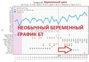 Беременна ли я? Тест отрицательный. Базальный температура 37.2